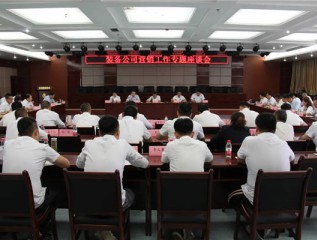 裝備公司黨委組織召開(kāi)營(yíng)銷(xiāo)工作專(zhuān)題座談會(huì )