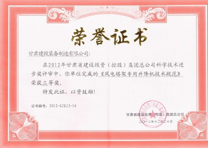 風(fēng)電塔架專(zhuān)用升降機技術(shù)規范科技進(jìn)步獎