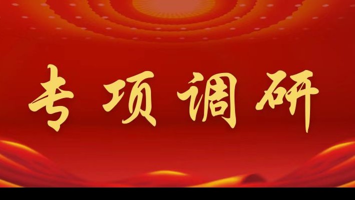 【專(zhuān)項調研】裝備公司領(lǐng)導班子深入康甲公司、康樂(lè )項目部調研督導年度重點(diǎn)工作推進(jìn)落實(shí)情況